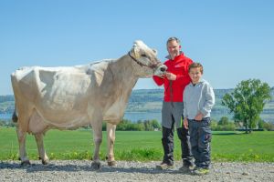 DAROLA CH 120.0544.3836.8 Stalder Michael BVCH25620